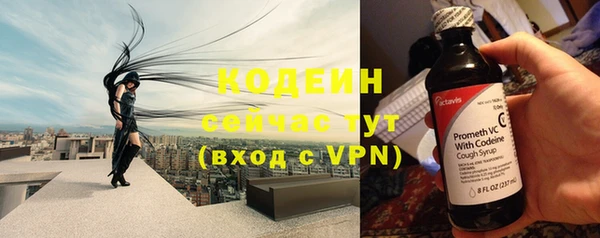 МДПВ Гусев
