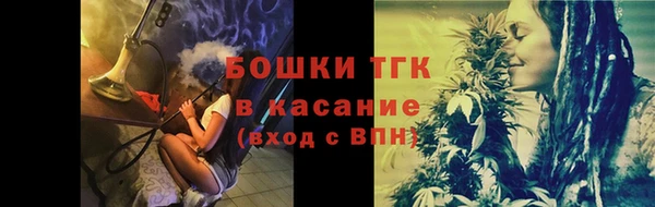 МДПВ Гусев