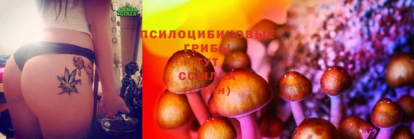 а пвп мука Гусь-Хрустальный
