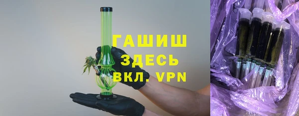 гидра Горнозаводск