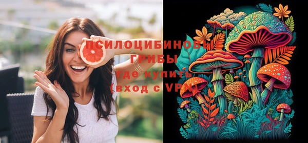 МДПВ Гусев
