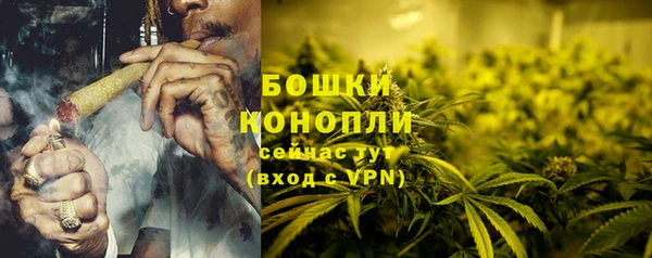 МДПВ Гусев