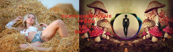 амф Дмитриев