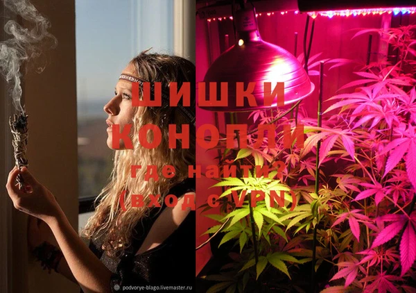 мет Дмитров
