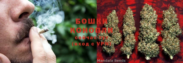 гидропоника Дмитровск