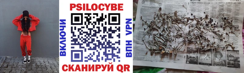 Купить закладки  Свободный  Псилоцибиновые грибы прущие грибы 
