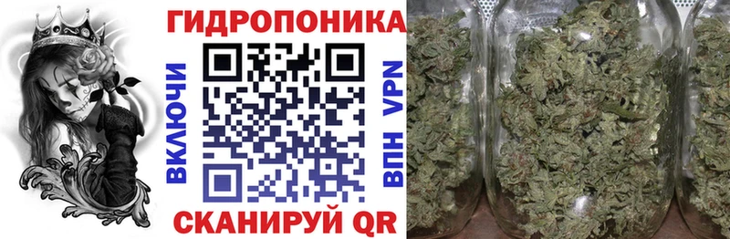 Каннабис VHQ  Купить где  Свободный 